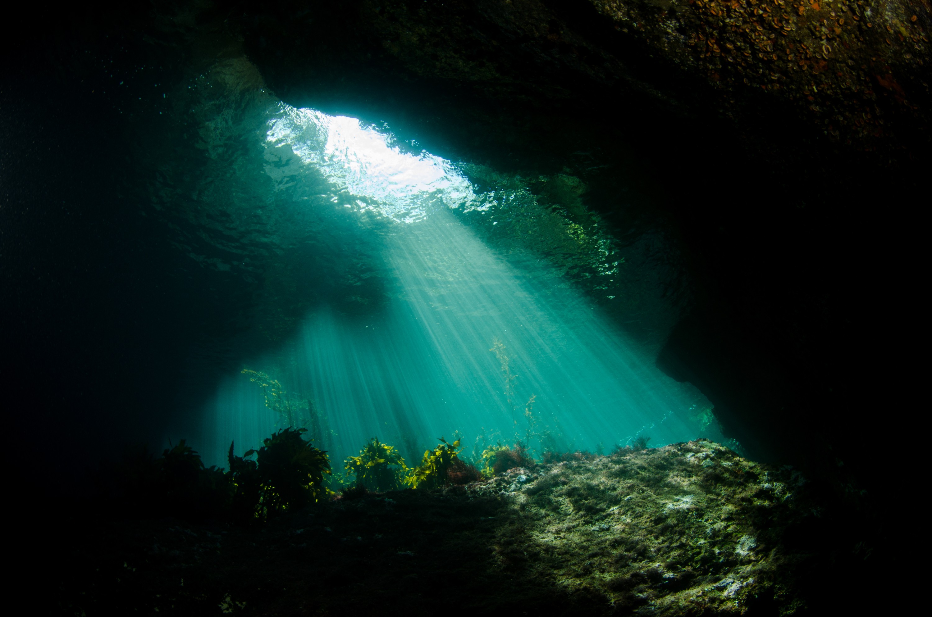 DSC_2000 – new, zealand, new zealand, nz, crispin, poor, knights, marine, reserve, Jans, Tunnel/, Lost, World, cave, fave place,